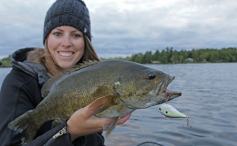 Why you should try fall bass fishing