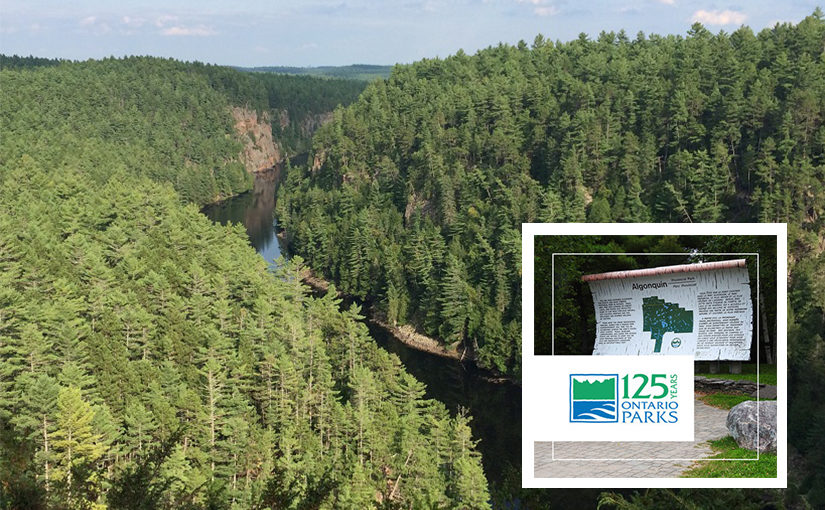 Algonquin canyon with OP125 logo