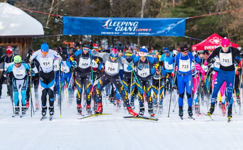 skiers at starting line
