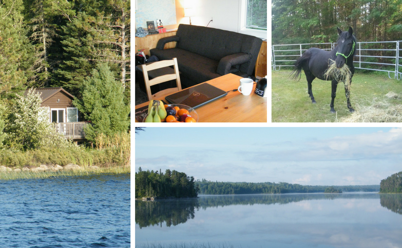 collage of Quetico images (horse, cabin, lake)