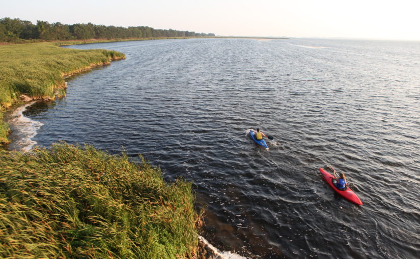 2 kayaks in the water at Rondeau Provincial Park on a clear day