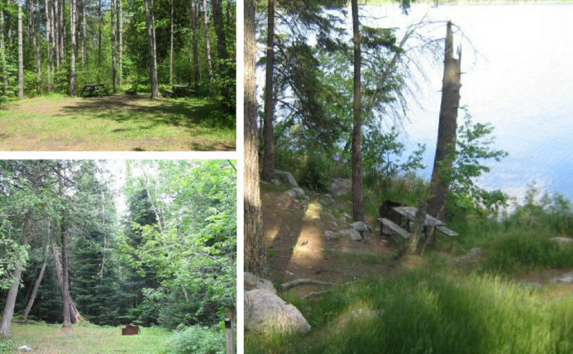 Three part header including waterfront site and two shady campsites surrounded by mature trees