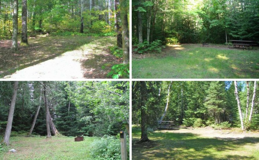 Four campsite that are inviting, grassy, treed