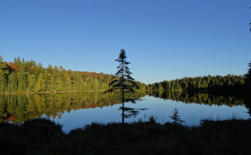 Lake on a clear day with shadows in the foreground and forest in the background