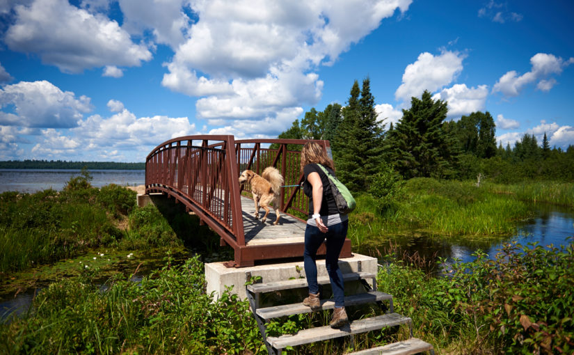 Woman crossing a boardwalk with a dog