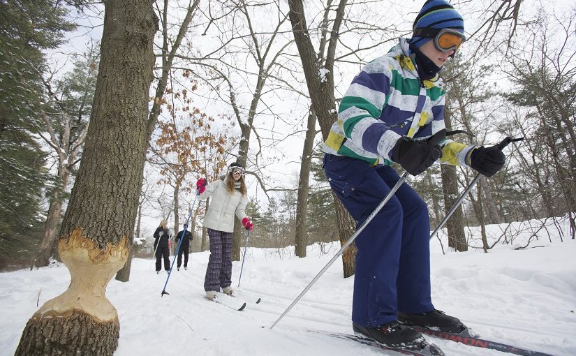 Children cross country skiing on trail
