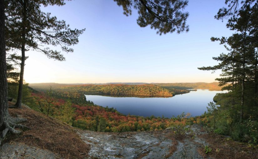 lookout over fall foliage and lake