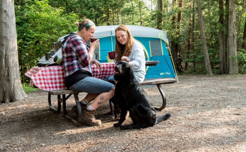 Couple sits at a picnic table drinking coffee next to a dog