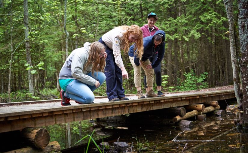 Discovery Ranger delivers education program on footbridge