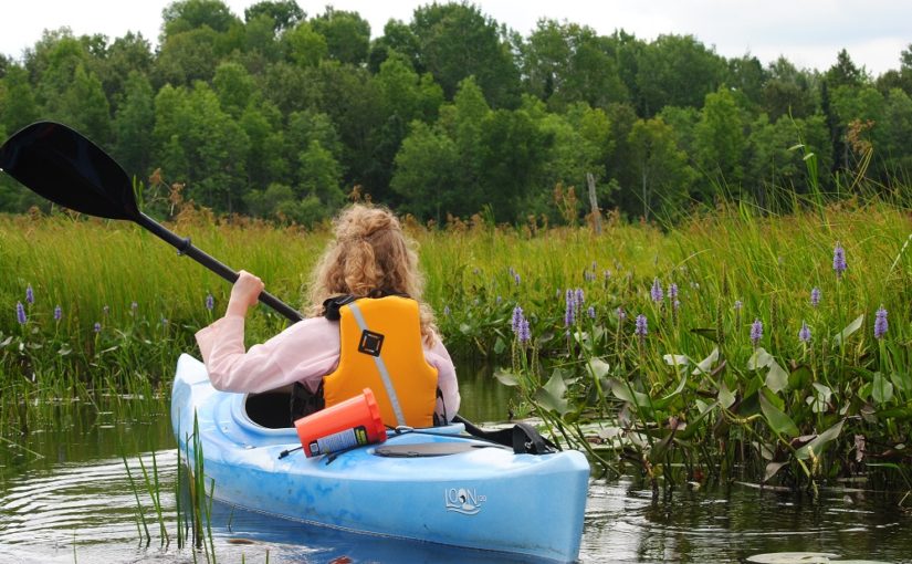 person paddling in canoe
