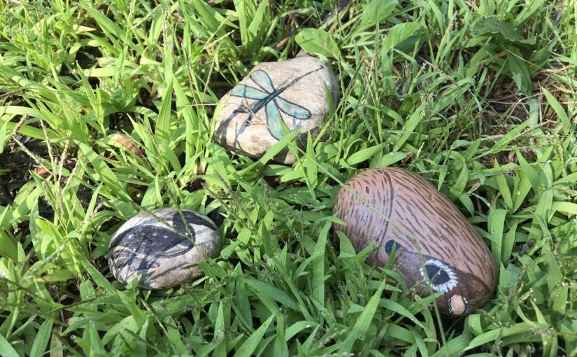 Can we bring painted rocks to the park?