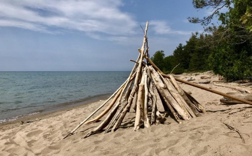 Driftwood: shaping shorelines and completing communities