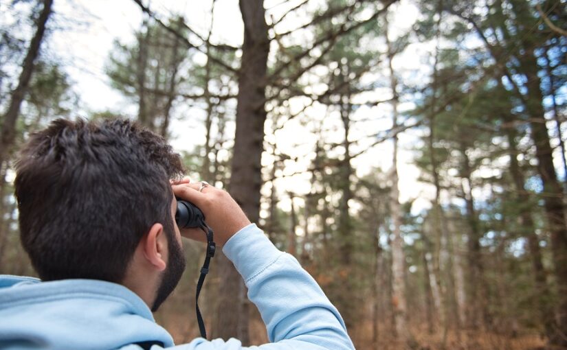 We’re here for the birds: how to be an ethical birder