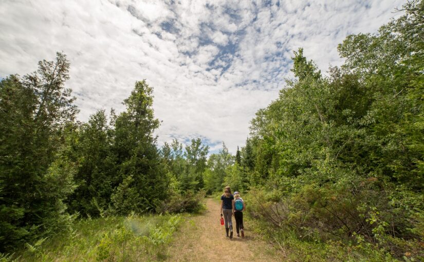 two hikers on trail leading into forest under blue sky with white clouds