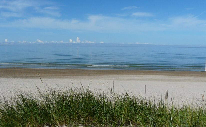 dune grass and sandy beach under blue sky