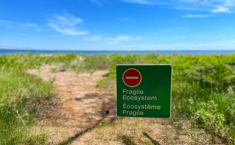 A fragile ecosystem sign in front of a social trail.
