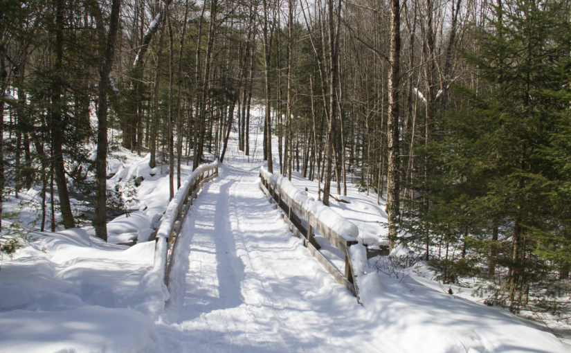 Winter trail over bridge.