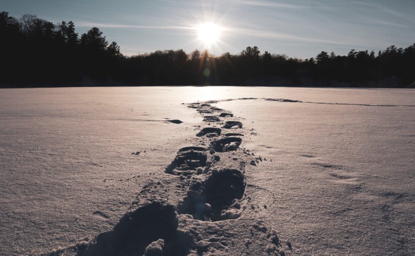 tracks through snow