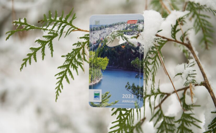 An Ontario Parks season permit hanging from a snowy cedar tree branch