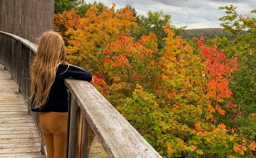 A child with long blonde hair standing on a boardwalk with their arms over the railing. They are looking at the changing fall colours of the forest beyond the boardwalk.