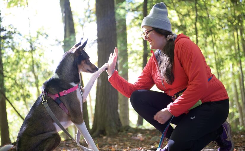 person and dog high-fiving on trail