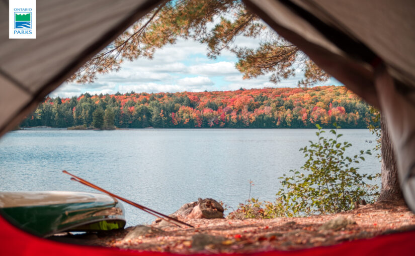 view of fall colours through tent