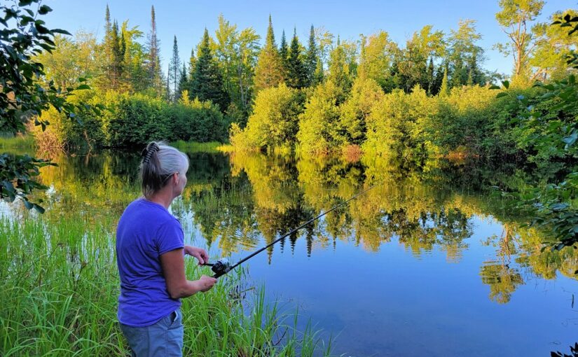 The dos and don’ts of using live bait in provincial parks