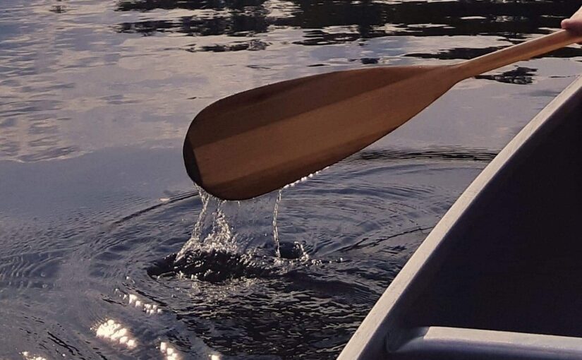 canoe paddle in water