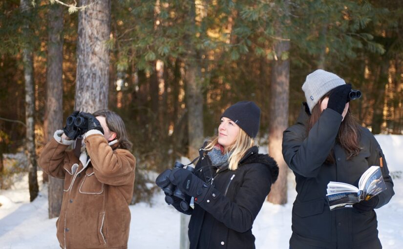 Christmas Bird Count — keep the community science tradition going!