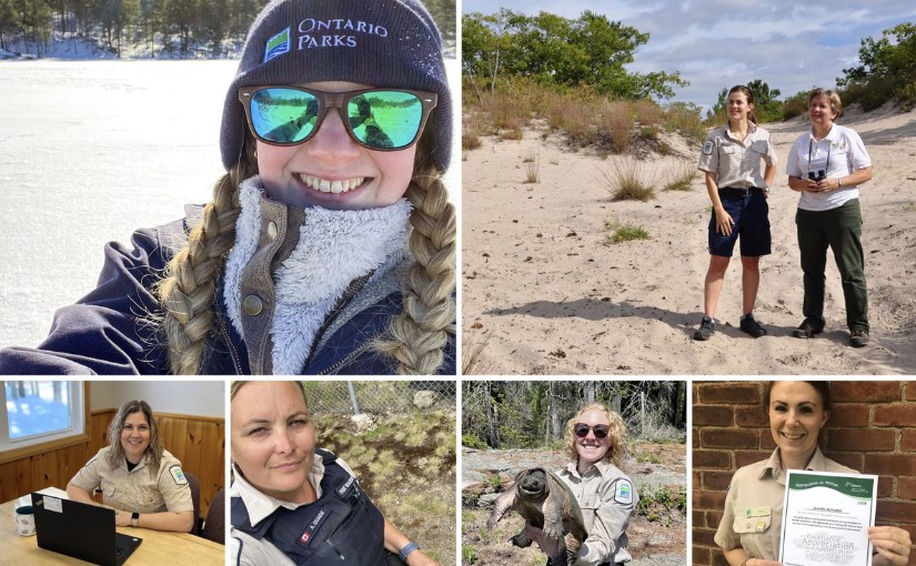 A collage of women working in various roles with Ontario Parks, in parks, with animals, in offices.